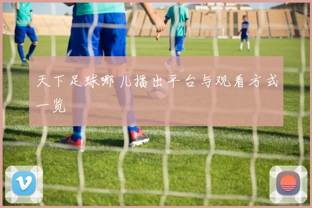 天下足球哪儿播出平台与观看方式一览