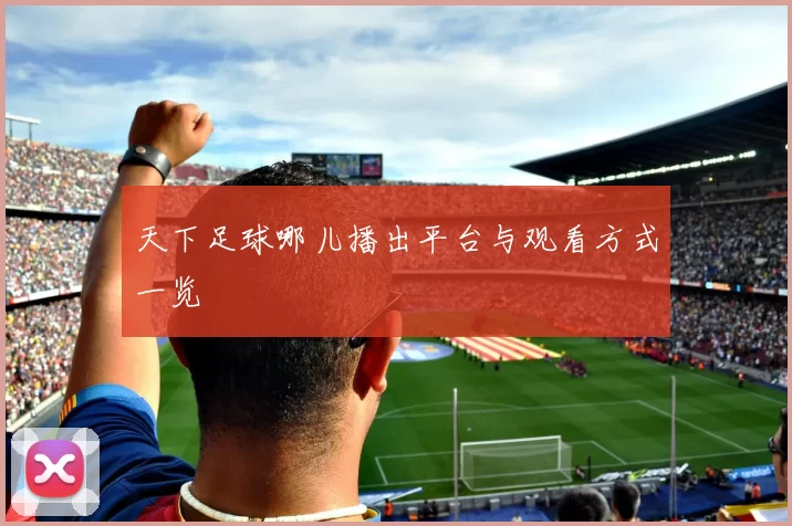 天下足球哪儿播出平台与观看方式一览