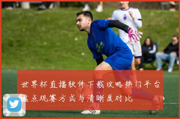 世界杯直播软件下载攻略热门平台盘点观赛方式与清晰度对比