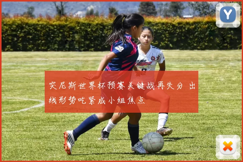 突尼斯世界杯预赛关键战再失分 出线形势吃紧成小组焦点