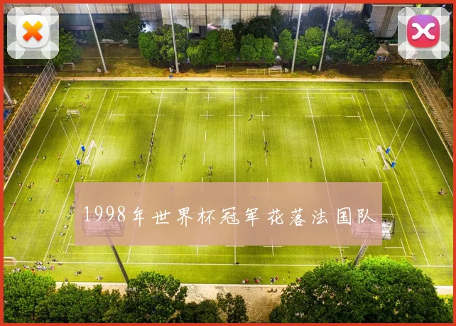 1998年世界杯冠军花落法国队