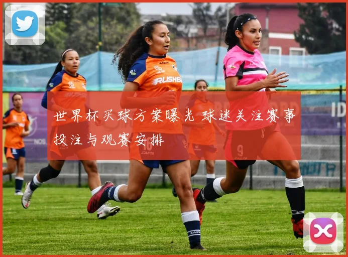 世界杯买球方案曝光 球迷关注赛事投注与观赛安排